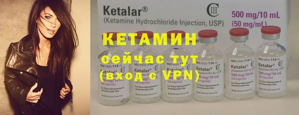 трава Абаза
