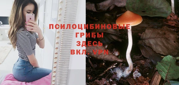 мет Абинск