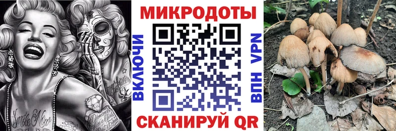 купить наркотики сайты  Сарапул  Галлюциногенные грибы мухоморы 