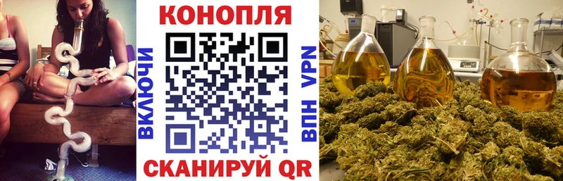 Канабис семена  блэк спрут зеркало  Сарапул 
